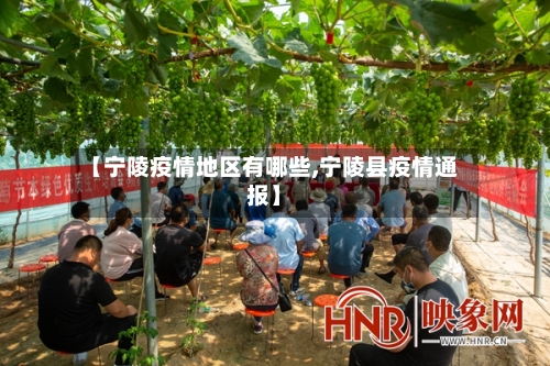 【宁陵疫情地区有哪些,宁陵县疫情通报】-第2张图片