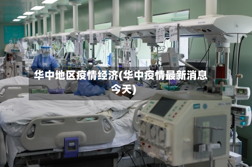 华中地区疫情经济(华中疫情最新消息今天)-第2张图片
