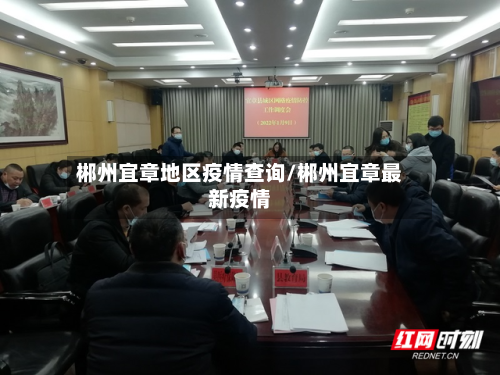 郴州宜章地区疫情查询/郴州宜章最新疫情-第2张图片
