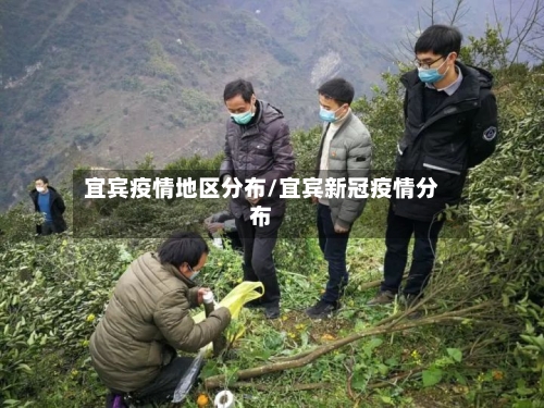 宜宾疫情地区分布/宜宾新冠疫情分布-第2张图片