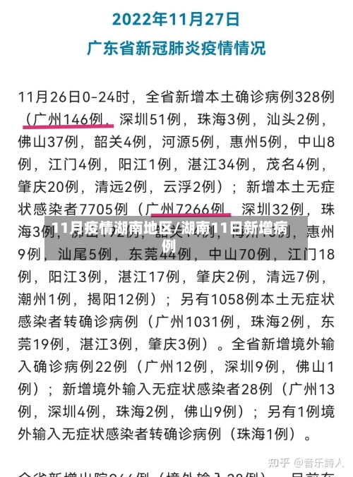 11月疫情湖南地区/湖南11日新增病例-第3张图片