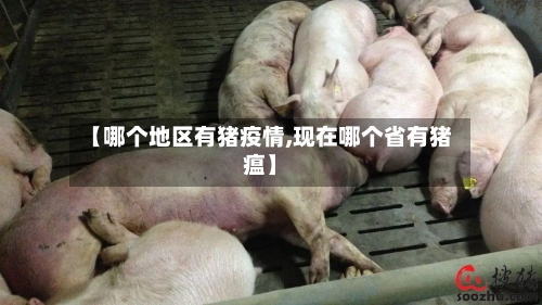 【哪个地区有猪疫情,现在哪个省有猪瘟】-第2张图片