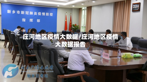 庄河地区疫情大数据/庄河地区疫情大数据报告-第1张图片