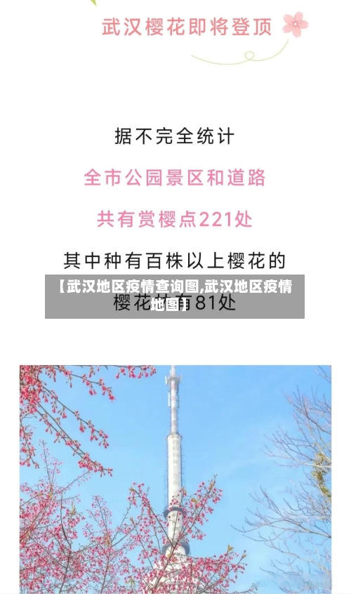 【武汉地区疫情查询图,武汉地区疫情地图】-第3张图片