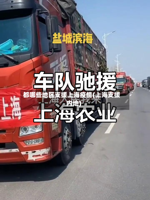 都哪些地区支援上海疫情(上海支援内地)-第3张图片